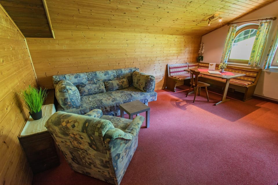 Living room, dining area and sofa bed
