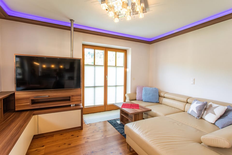 Living room, sofa bed and TV