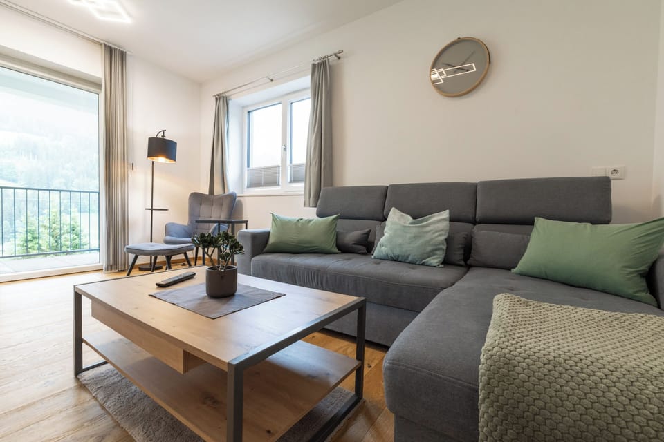 Living room, sofa bed and TV