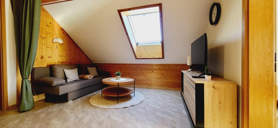 Living room, sofa bed and TV