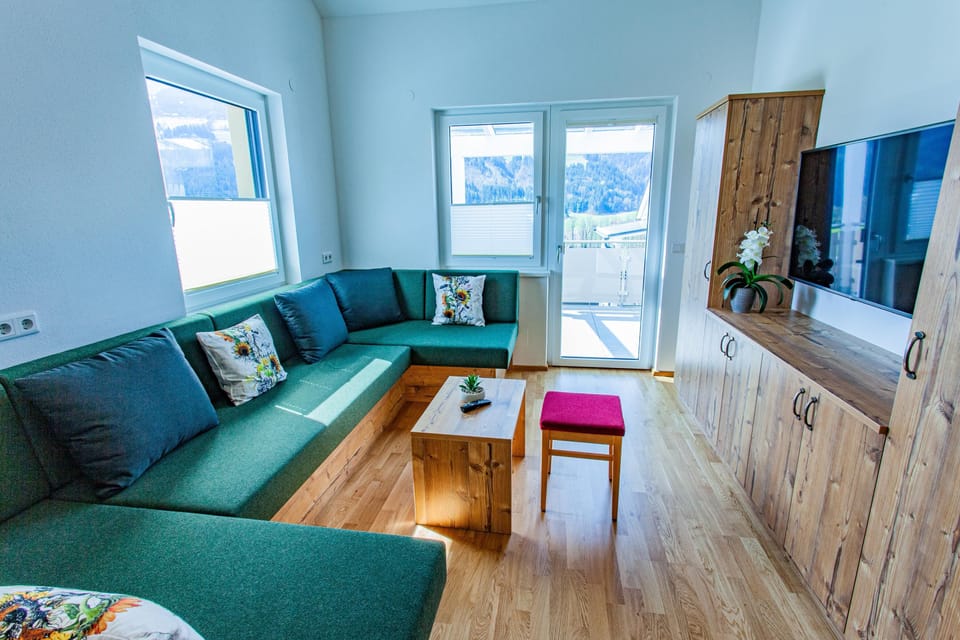 Living room, sofa bed and TV