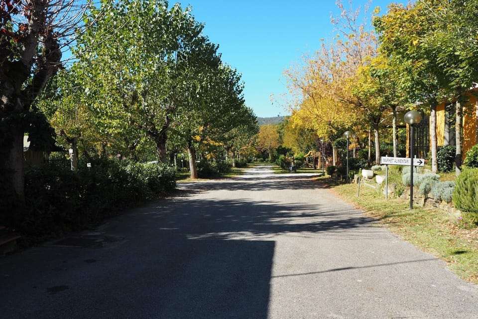 Immediate Surroundings [summer] (<1 km)