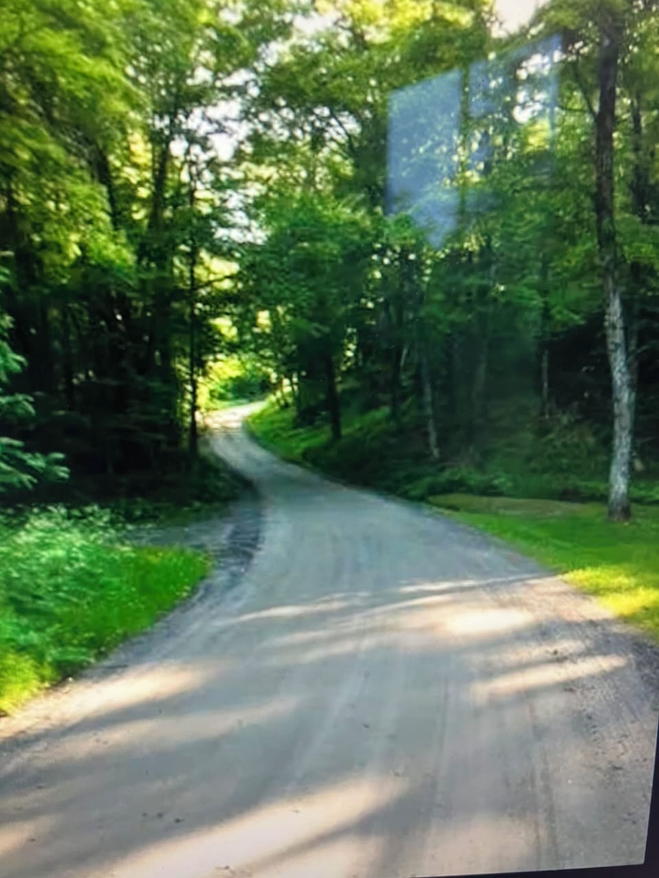 Road to the Cabin