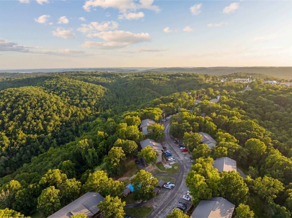 Aerial View​