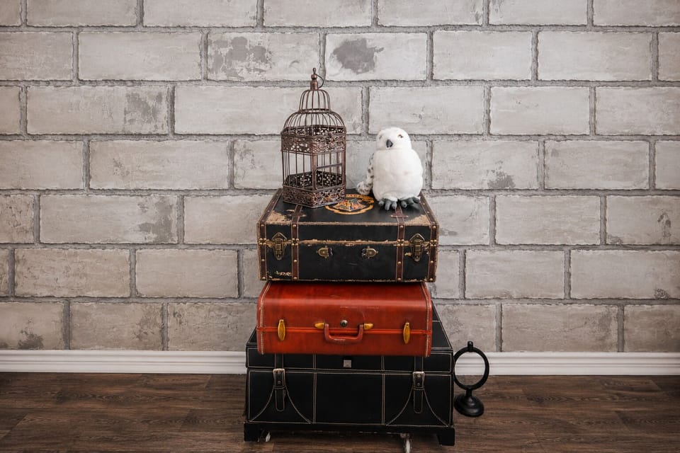Wizarding Display
All aboard for adventure. Stacked vintage trunks and a watchful Hedwig create a whimsical nod to magical journeys and unforgettable destinations. One of many imaginative touches designed to delight guests and make every stay special