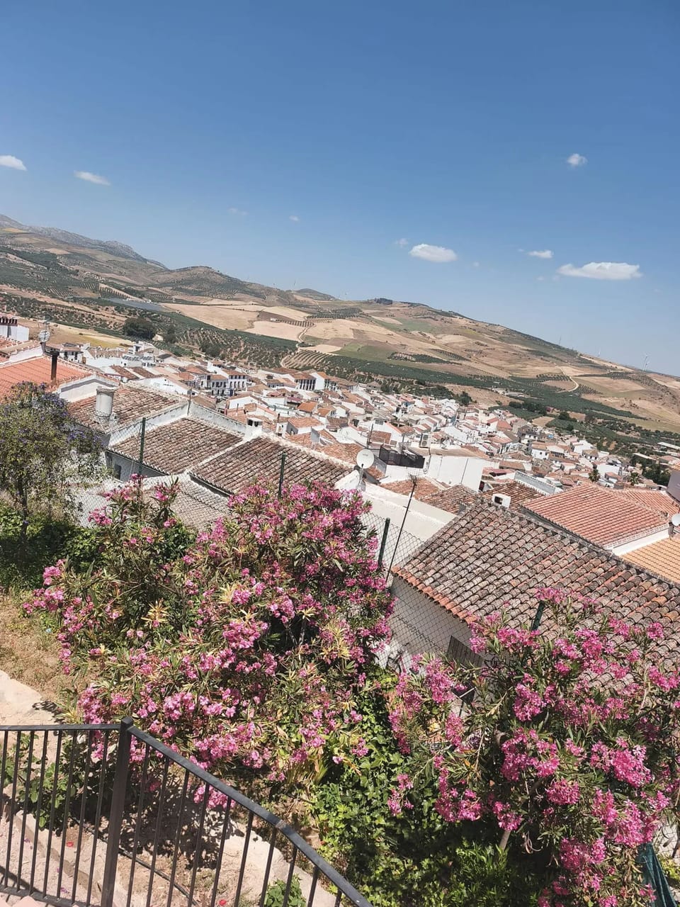 City view