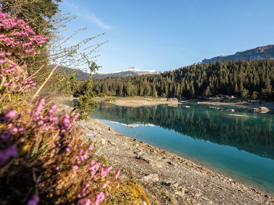 Water, Body Of Water, Water Resources, Nature, Mountain, Bank, Highland, Lake, Tarn, Wilderness