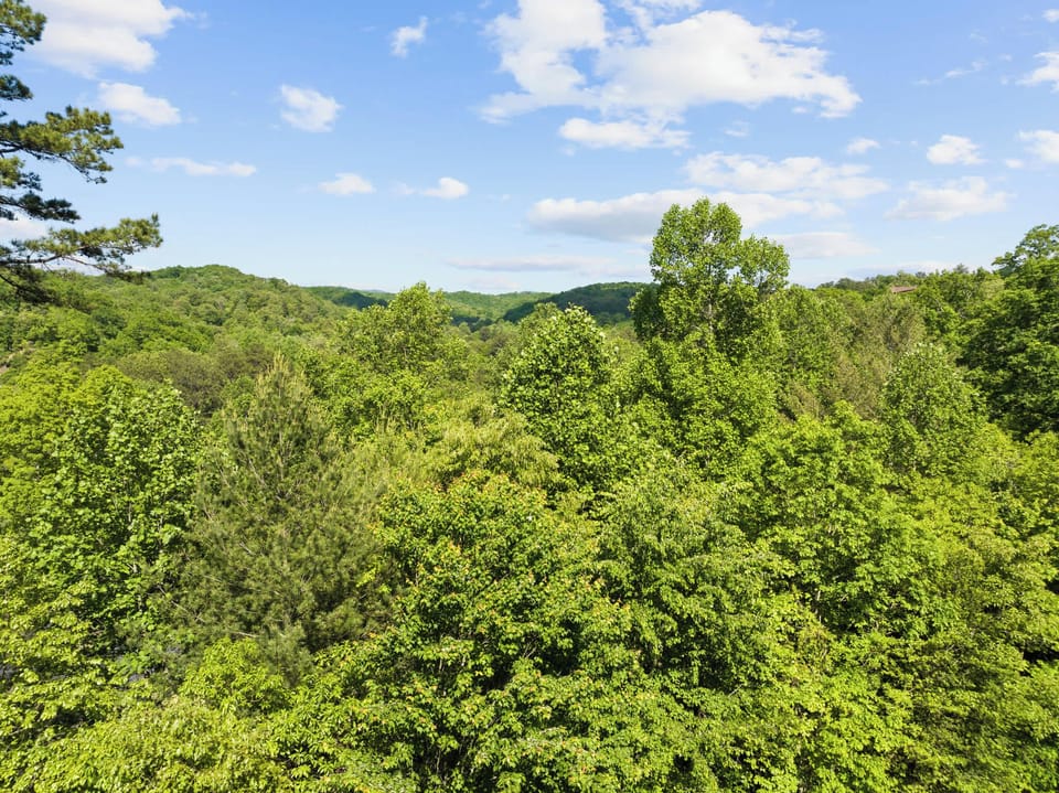 Mountain/Treetop Views
