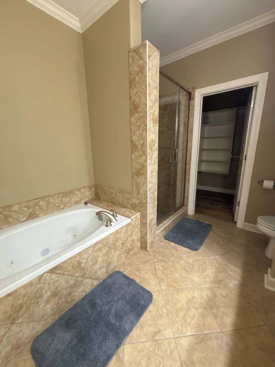 Full Bath in 1st Downstairs Master Bedroom