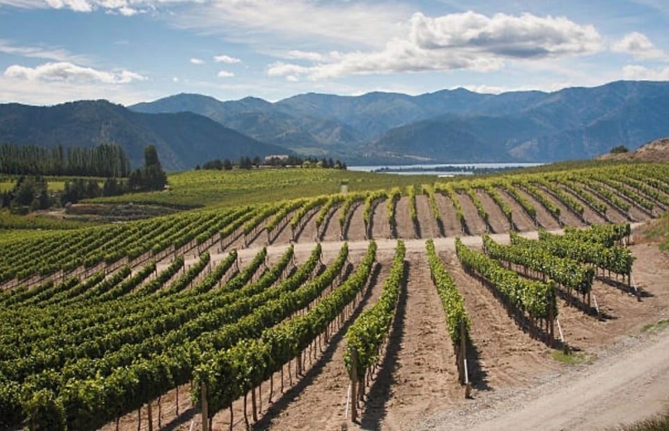 Visit local wineries near by 