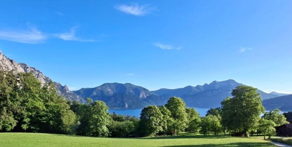 Vacation apartment 2 - Plum - Attersee Panorama Apartments Apartment in Upper Austria