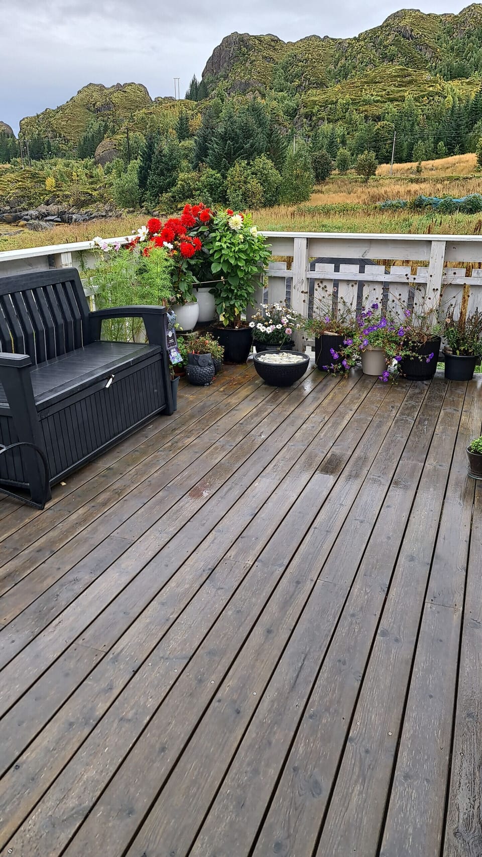 Terrace/patio