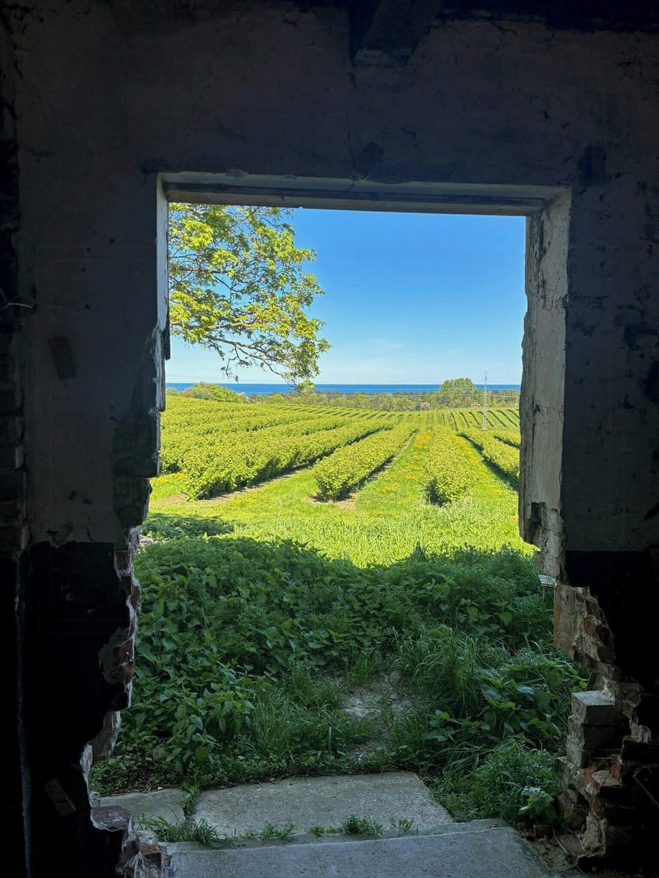 View from property