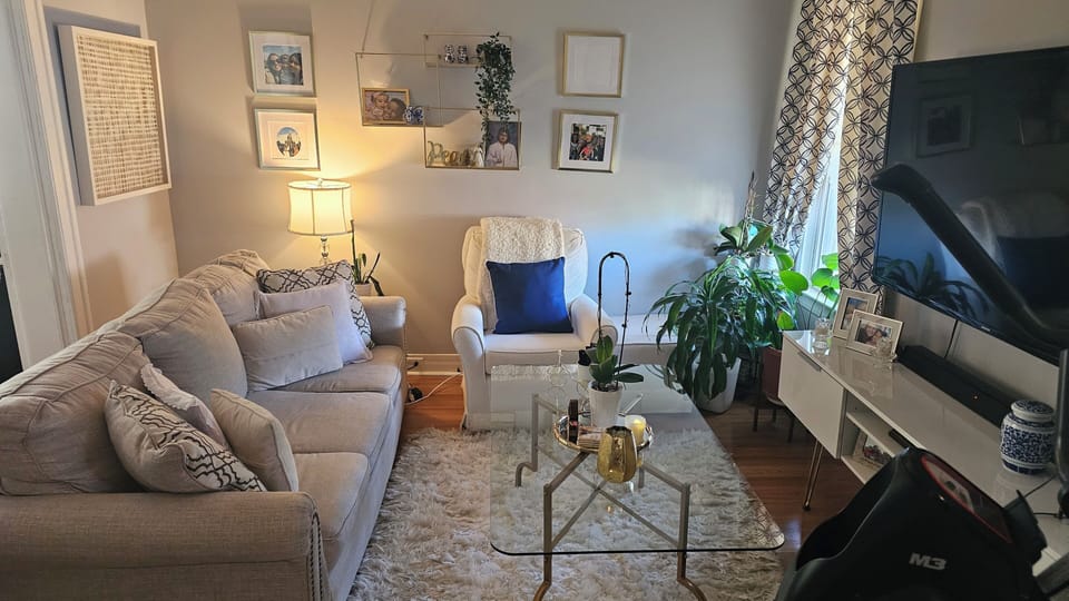   living  room with sofa queen sofa bed,and  television