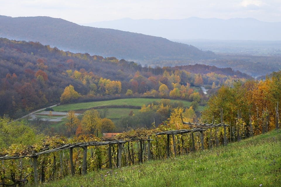 Surroundings [summer] (1-5 km)