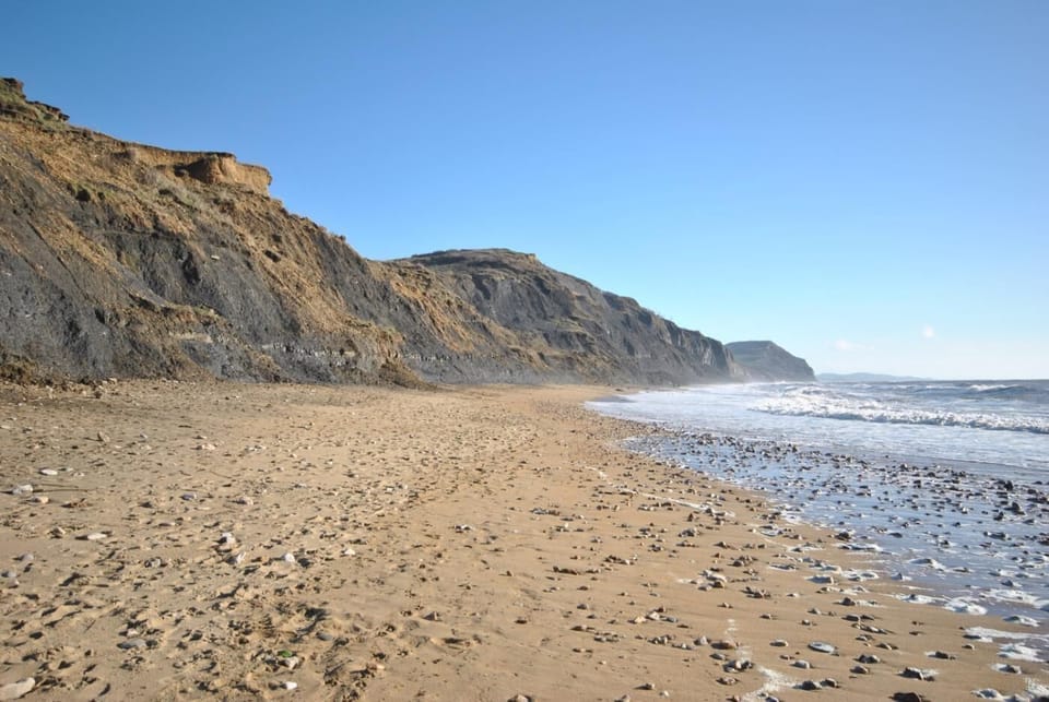 Try your hand at fossil hunting along Charmouth beach on the World Heritage Jurassic Coast 