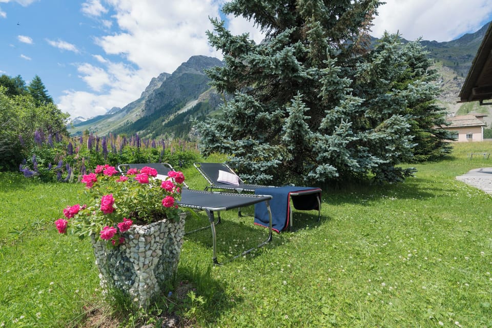 Garden view