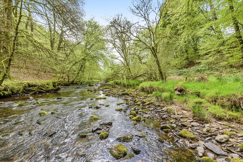 West Hollowcombe Farm grounds