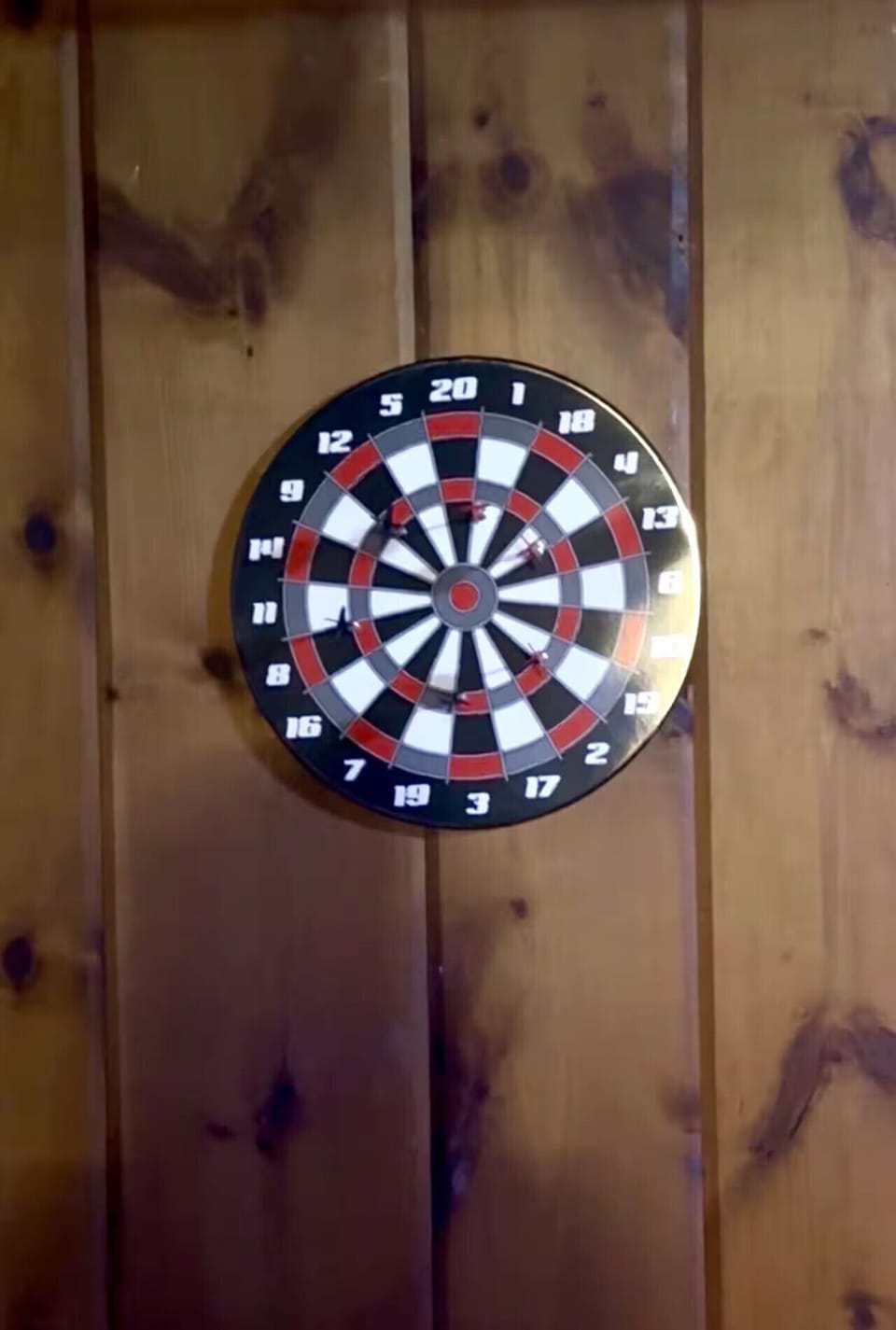 Not only are there magnetic darts, there is magnetic games like tix tac toe, chess, among others. Enjoy but please be sure to light up the fire for some ambiance.