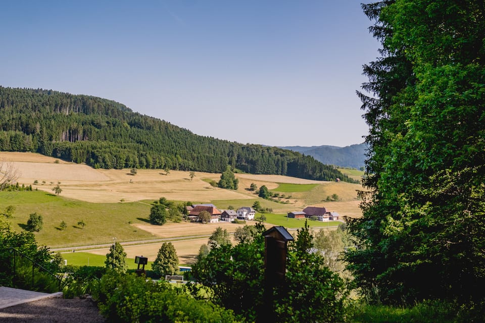 Miscellaneous