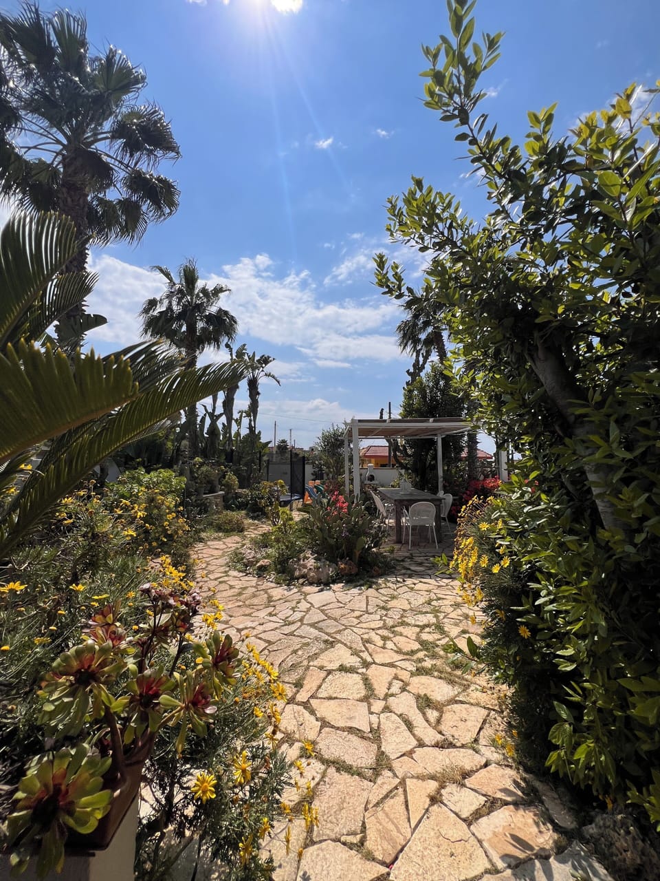 Terrace/patio