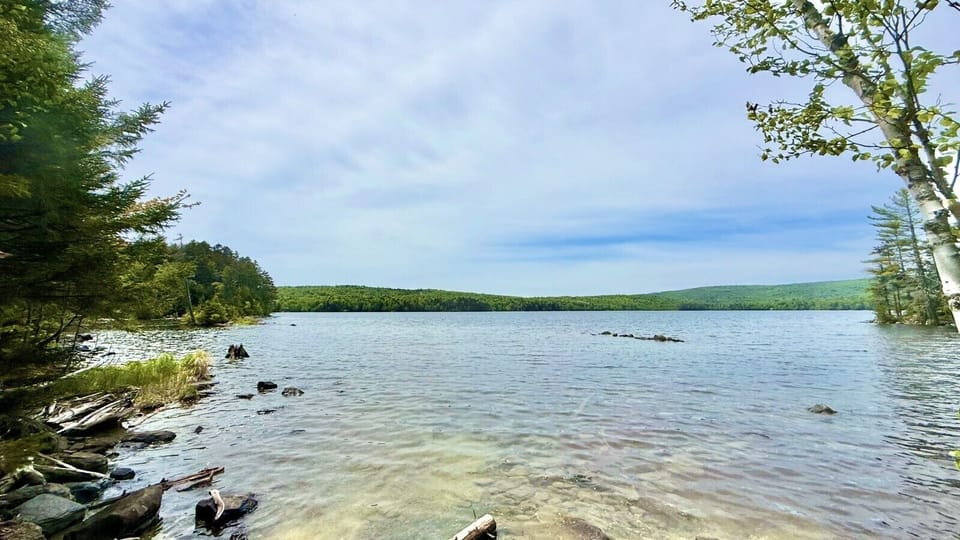 Private lake view to enjoy.