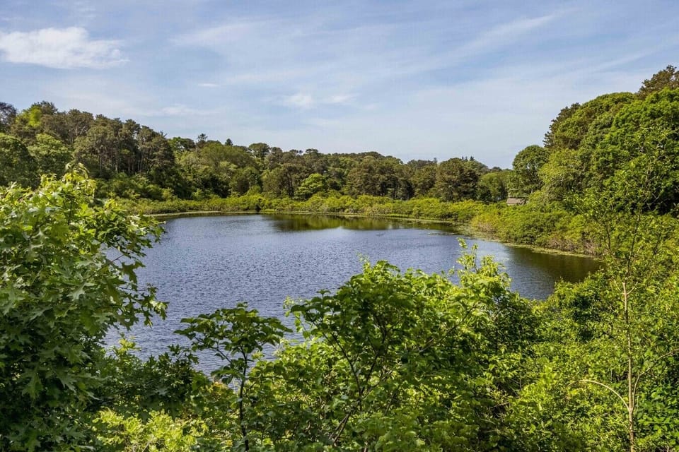 White Pond