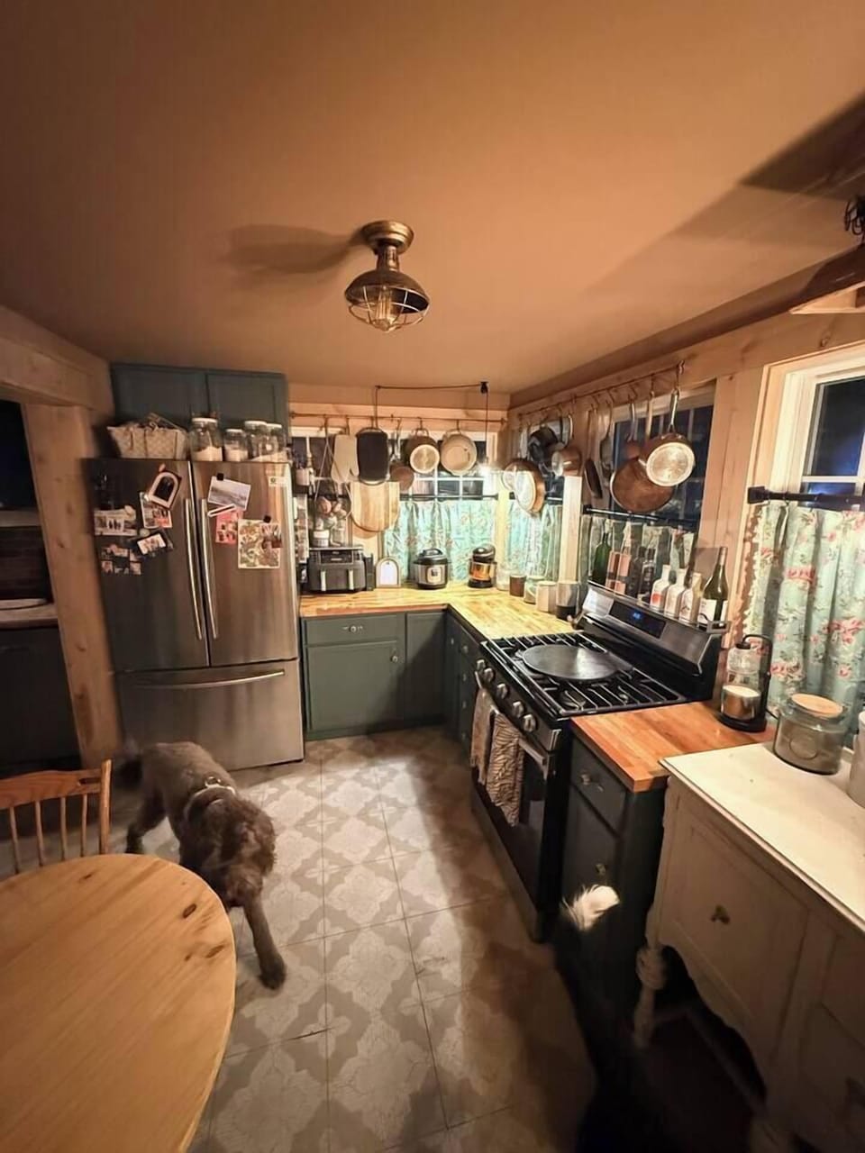Dog not included 