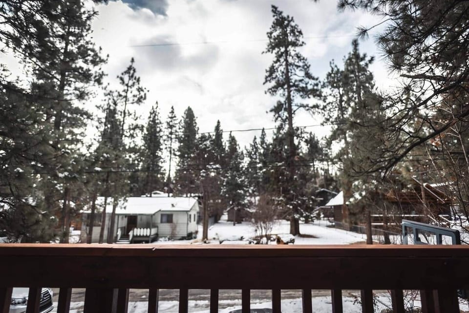 Quiet neighborhood with majestic pines