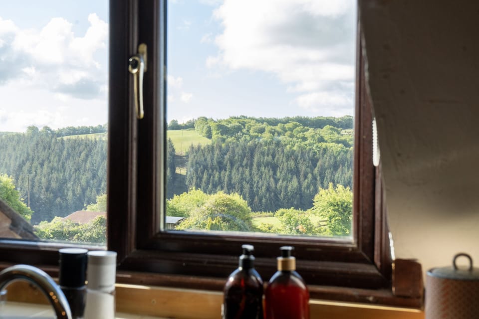 View from Jasper kitchen window
