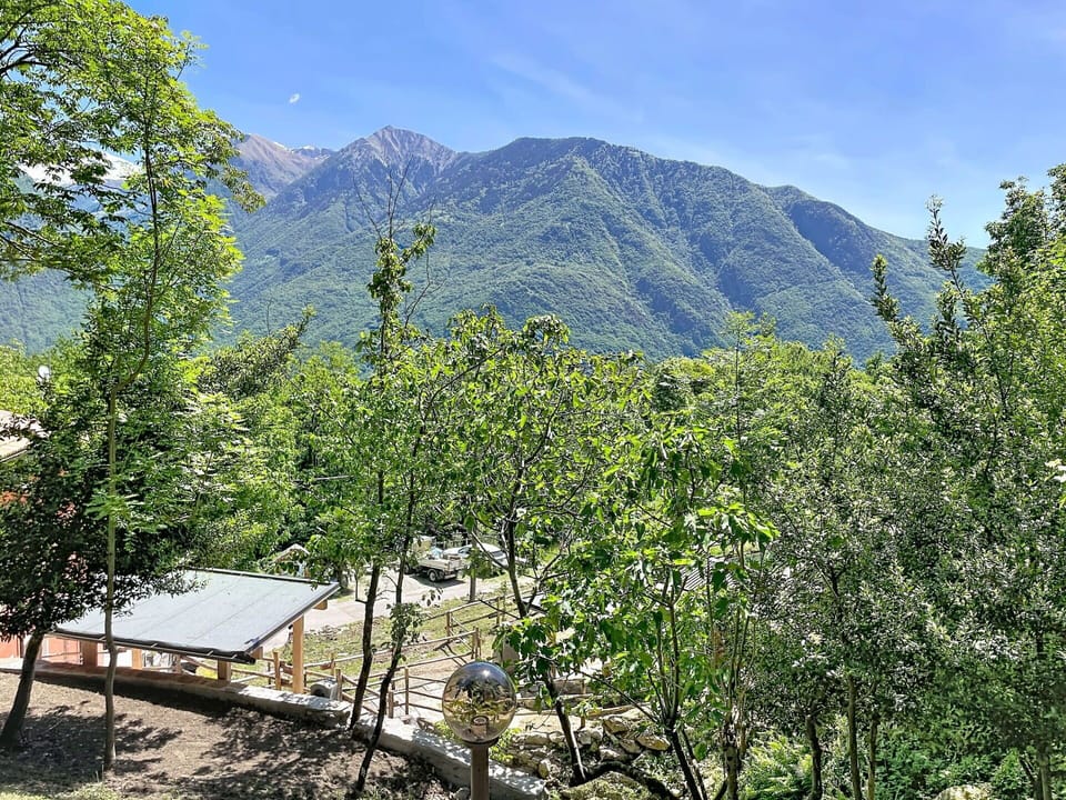 Resort, Swimming Pool, Estate, Shade, Landscaping, Eco Hotel, Hotel, Villa
