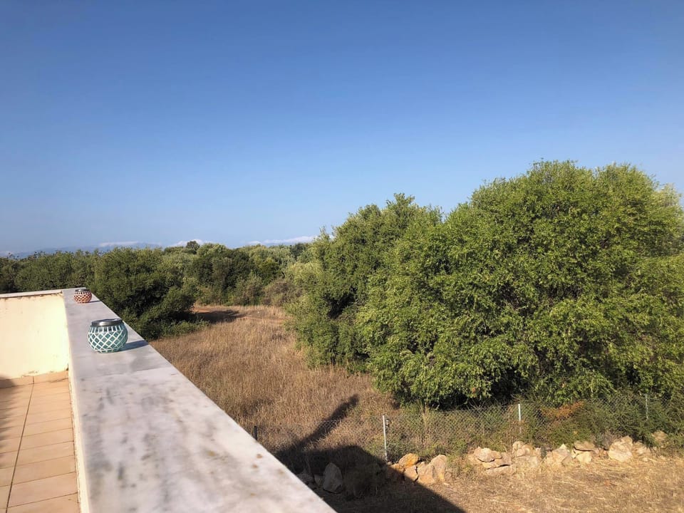 View from upper terrace