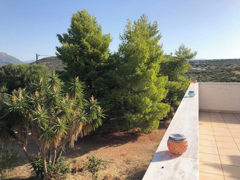View from the upper terrace