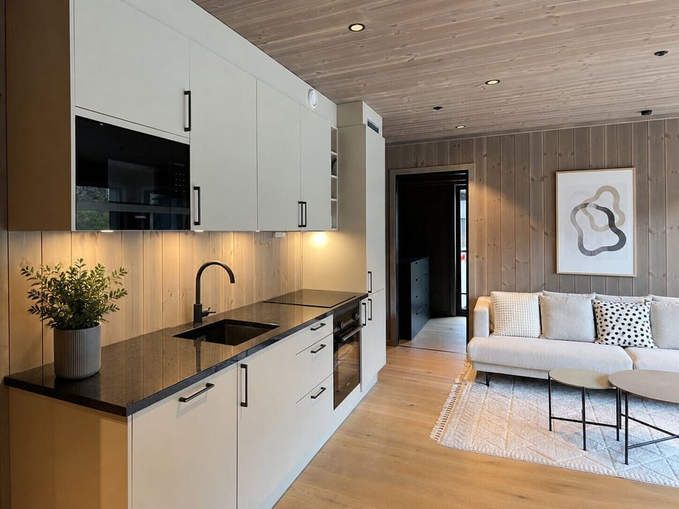 Modern kitchen with all appliances