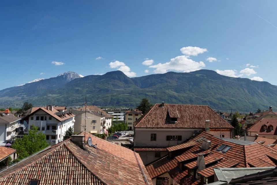 View from Holiday Home [summer]
