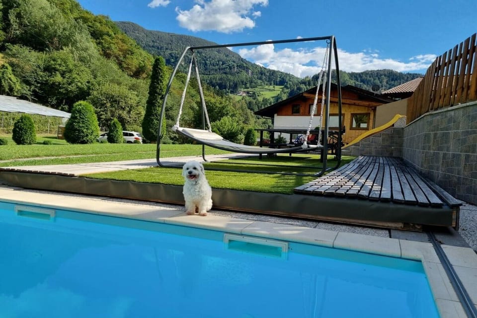 Holiday Home Swimming Pool
