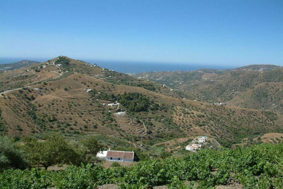 Surroundings [summer] (1-5 km)