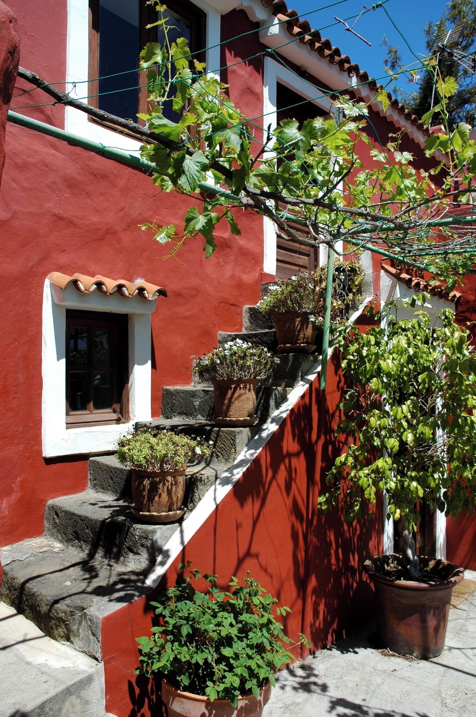 Exterior detail