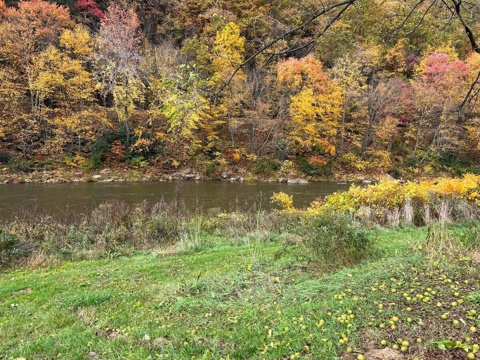 Gorgeous fall foliage along the creek — stunning seasonal views.