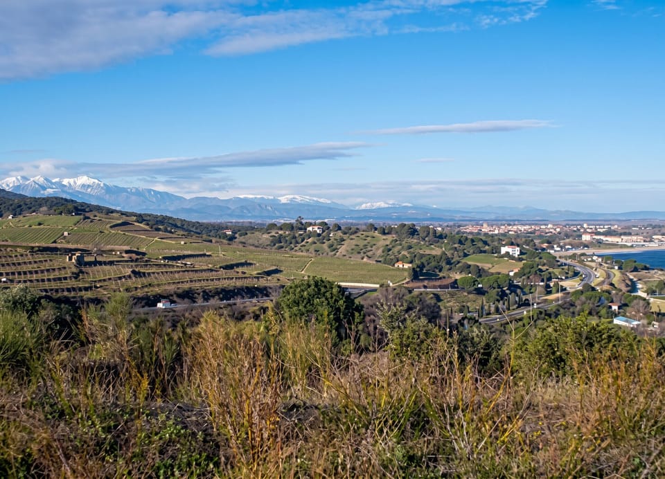 Areal view