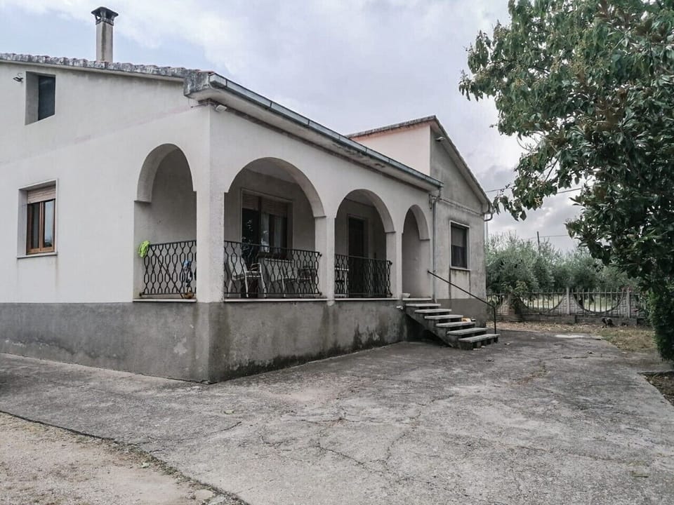 146_Relax Tra Gli Ulivi_39