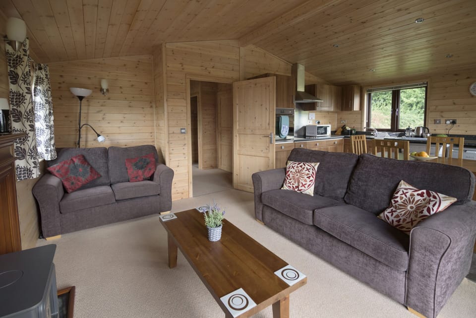 Living Space and Kitchen