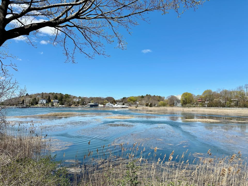 During high ride, water levels will rise so it's best to leave for kayaking 2 hours before and return 2 hours after high tide.