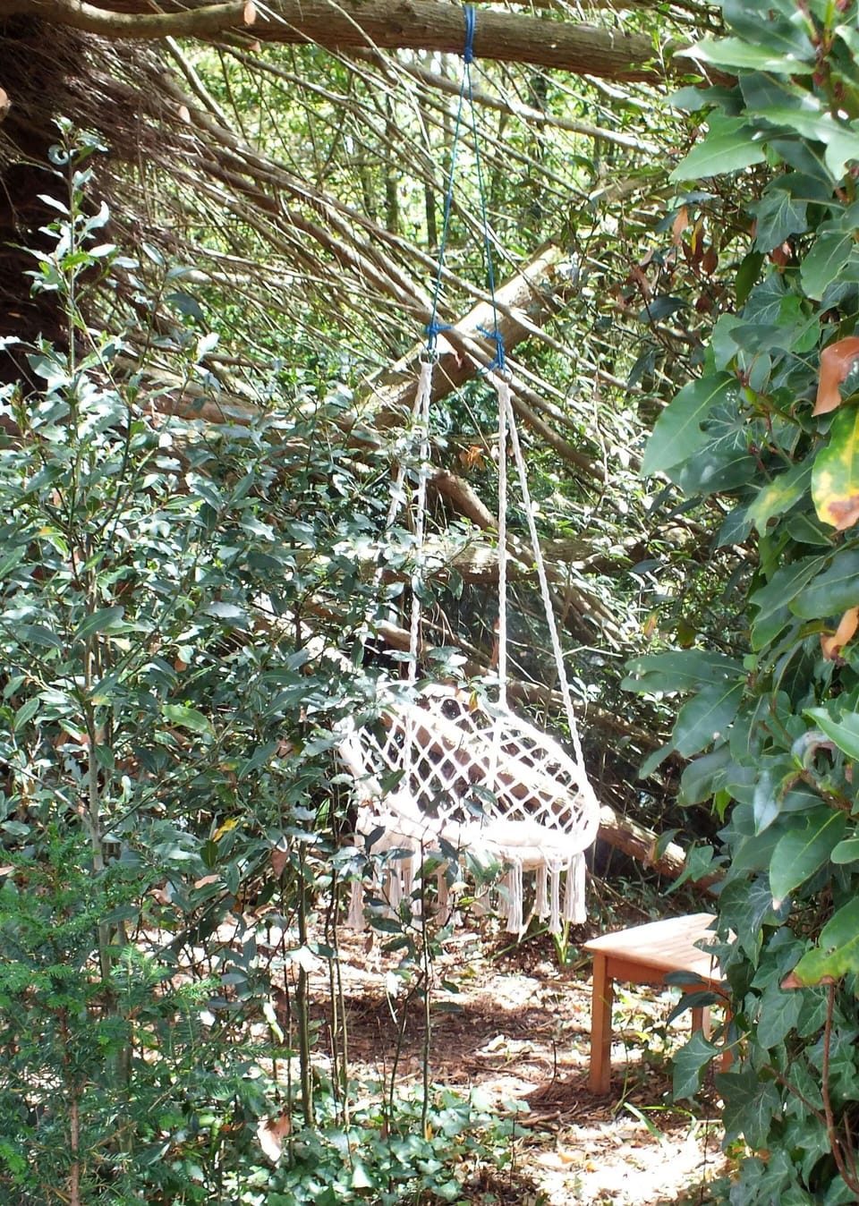 Swing