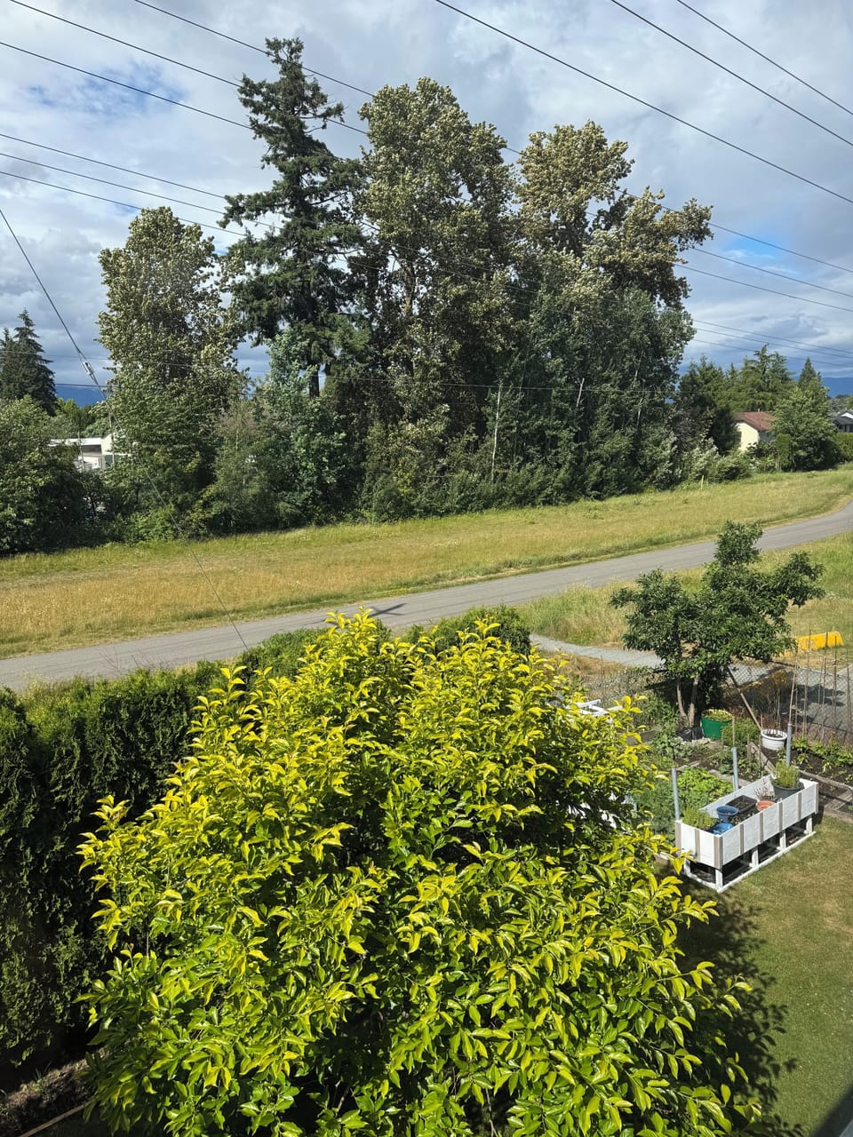 View from property