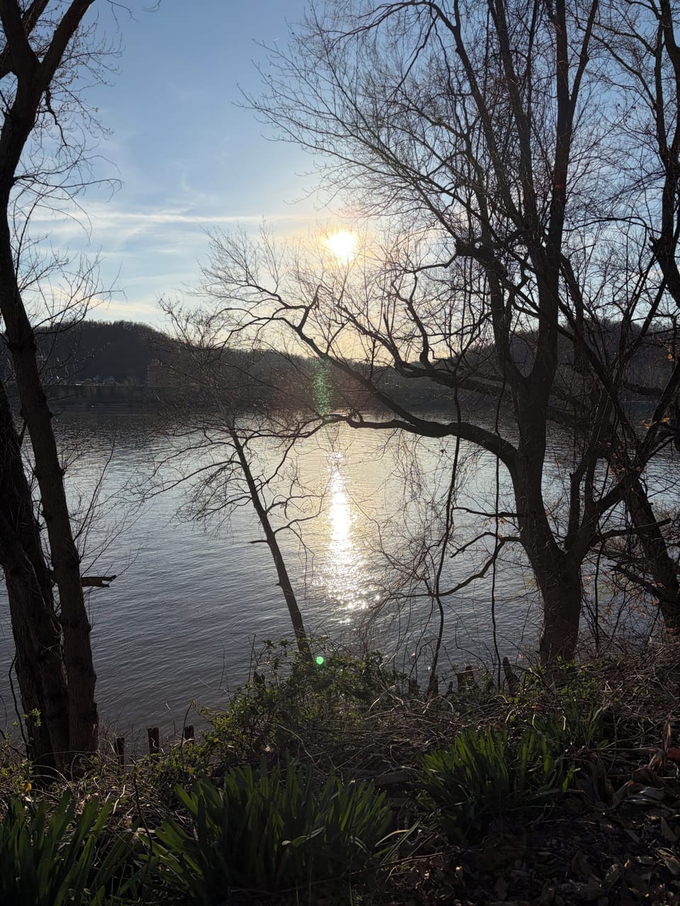 In the fall, the view opens up; the sun glides on the water as a welcome friend.