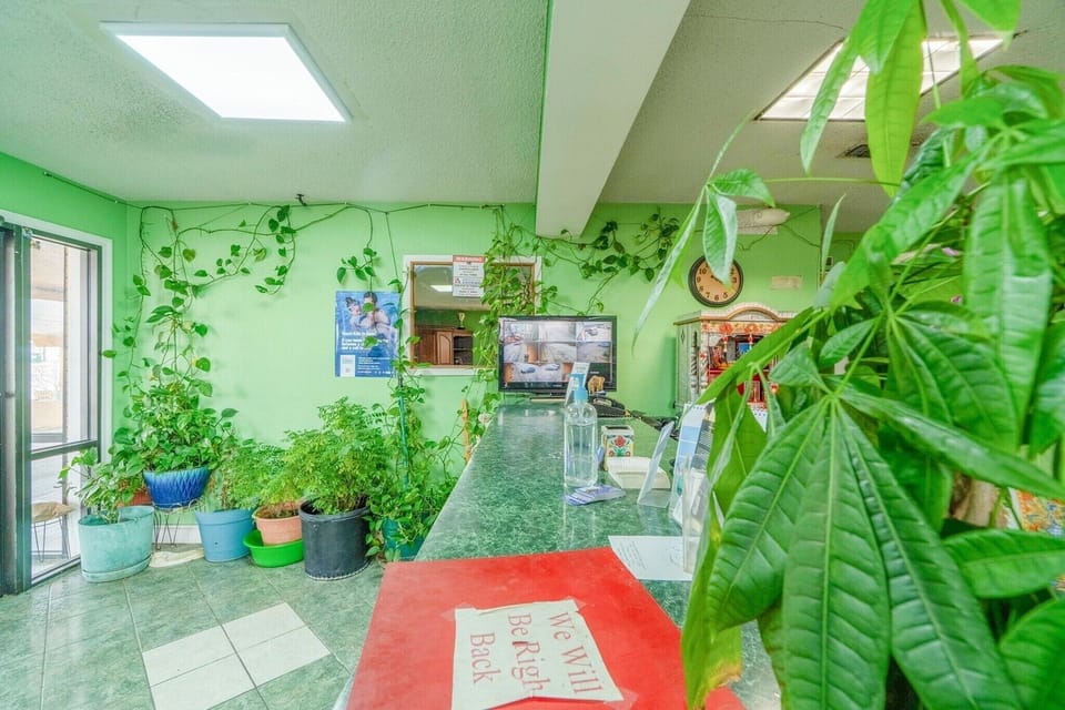 Entrance / Reception