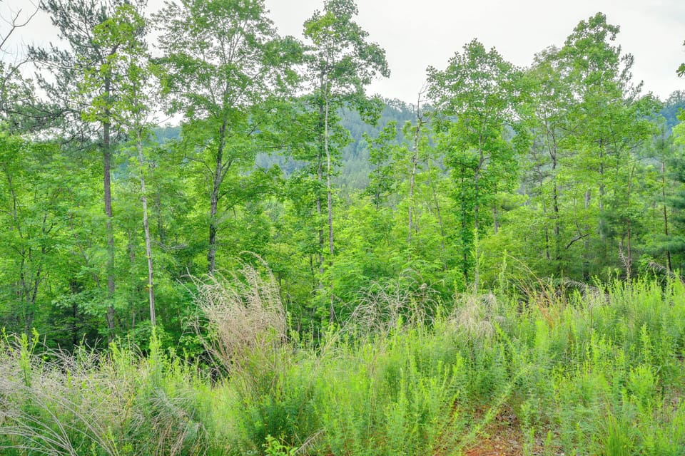 Property Views