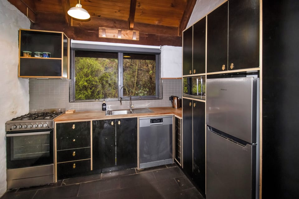 Rustic kitchen with forest views, gas cooking, and modern appliances