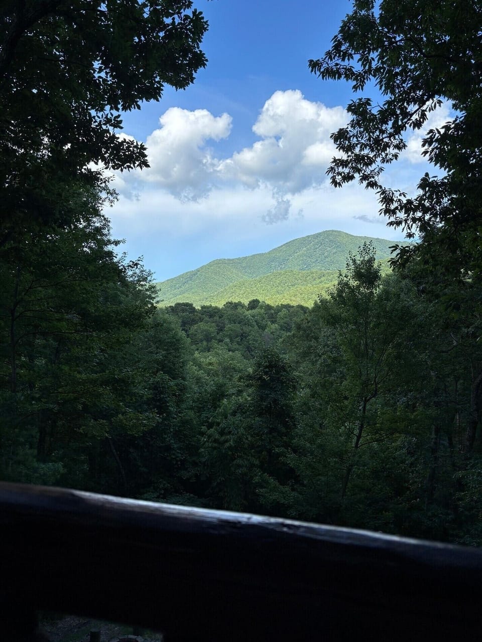 Private balcony view overlooking lush forest and peaceful mountains